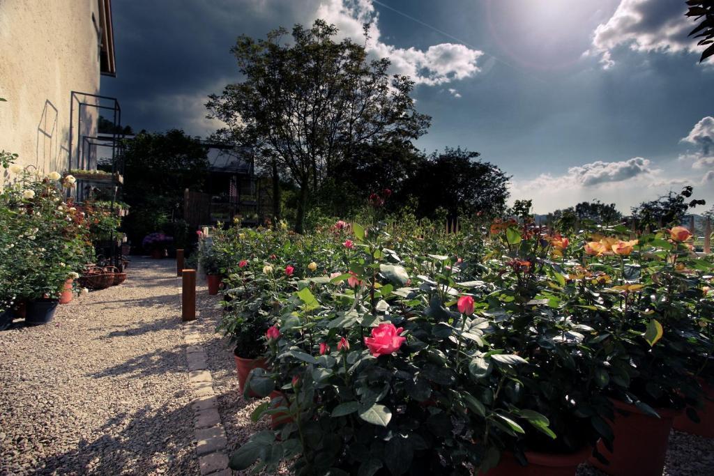 Hotel Rainhof Scheune & Naturpark Restaurant كيشتزارتن المظهر الخارجي الصورة