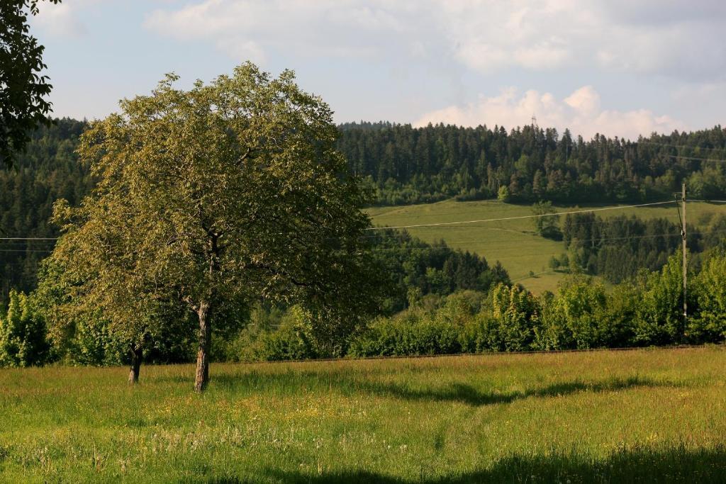 Hotel Rainhof Scheune & Naturpark Restaurant كيشتزارتن المظهر الخارجي الصورة